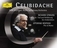 Ottorino Respighi Pini di Roma / Strauss Orchestral works Sergiu Celibidache артикул 960b.