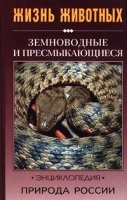 Земноводные и пресмыкающиеся артикул 1108b.